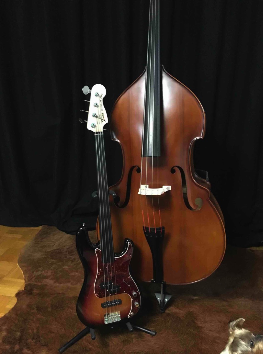 fretless / Kontrabass